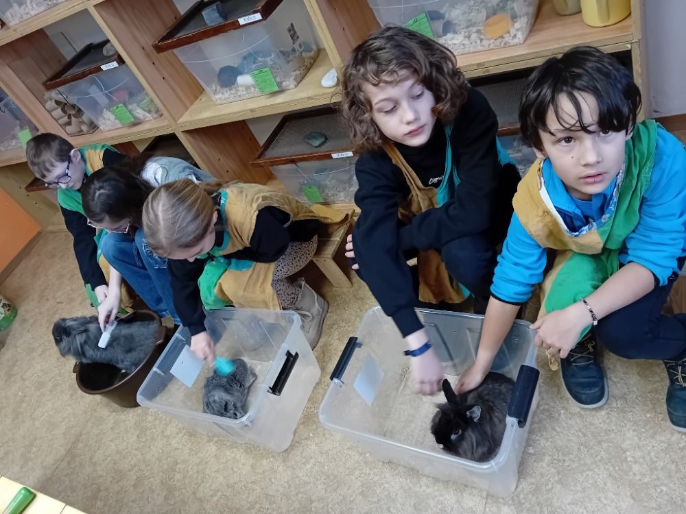 Hrátky se zvířátky