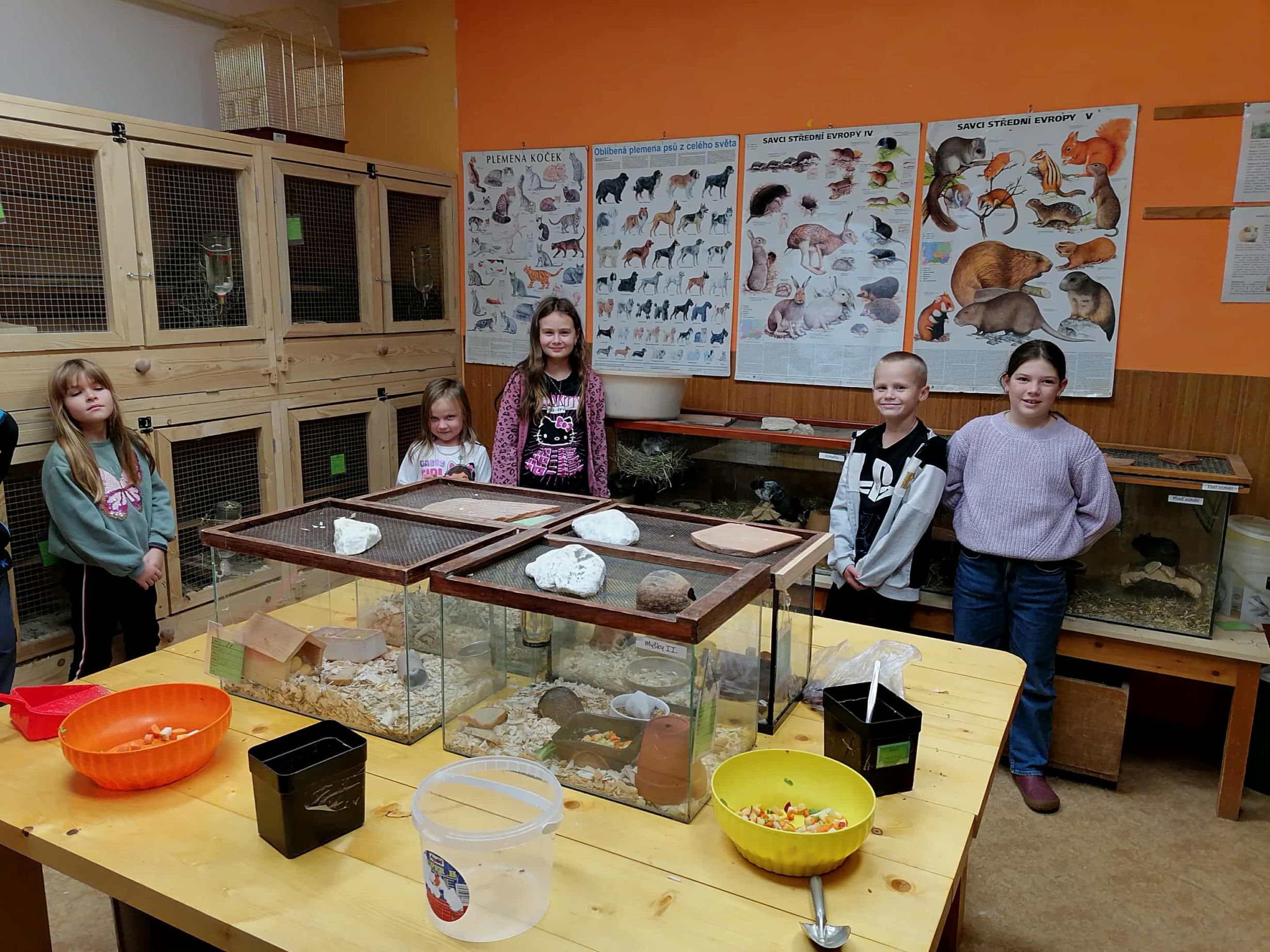 Hrátky se zvířátky