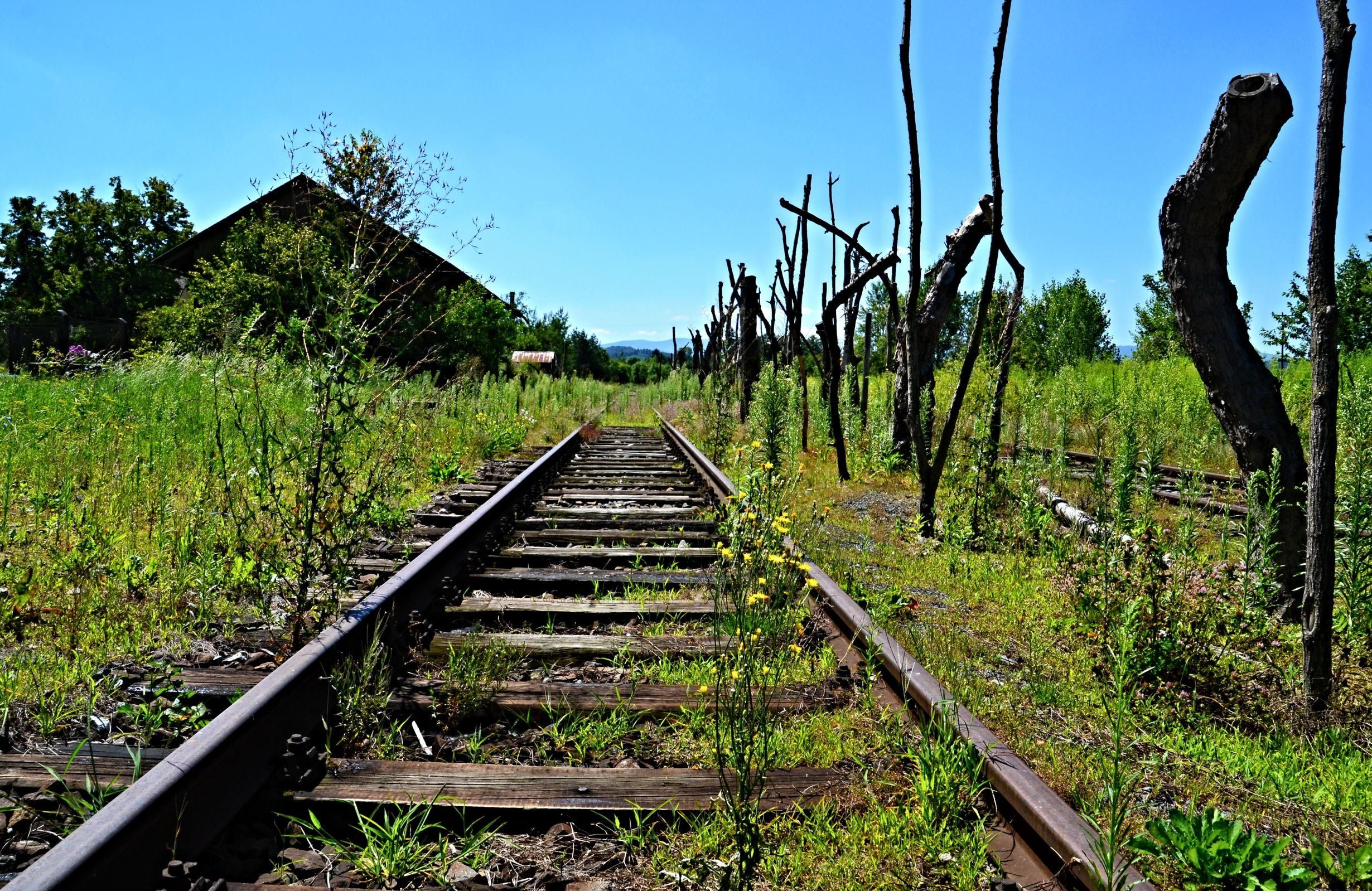 Pravidla fotosoutěže