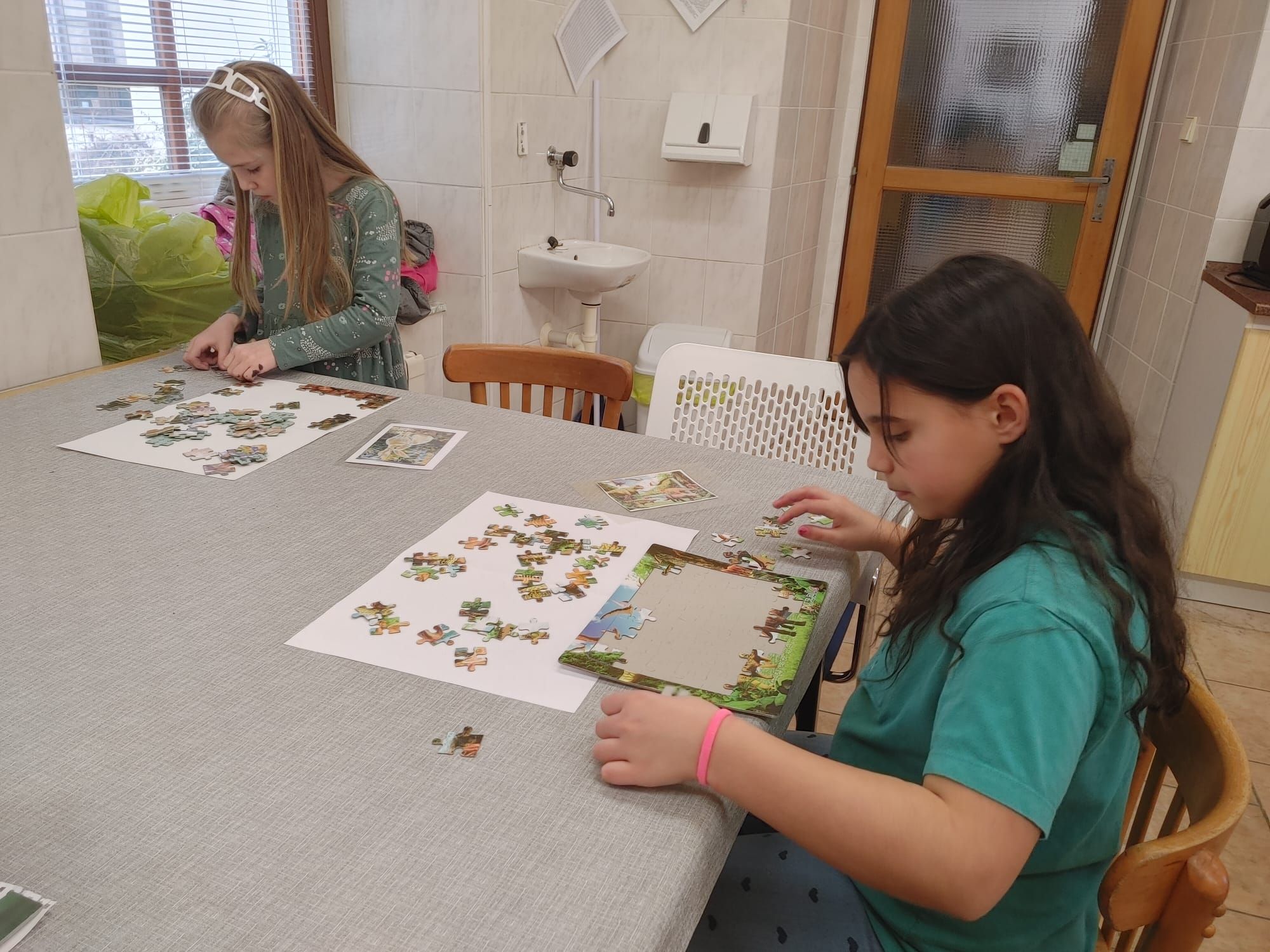 Puzzlejáda