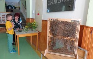 Zlatá včela 2016 - oblastní kolo Šumvald