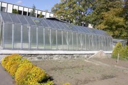 Revitalizace zahrady a rekonstrukce skleníku