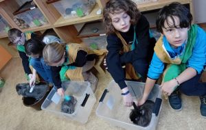 Hrátky se zvířátky