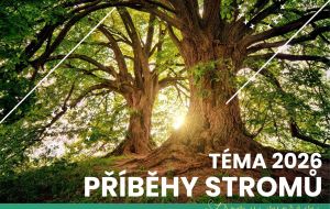 Fotosoutěž 2026 - Příběhy stromů