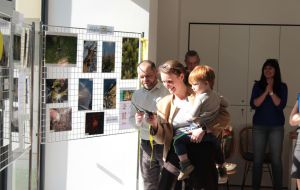 Fotosoutěž 2026 - Příběhy stromů