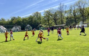 Sportovní soutěže