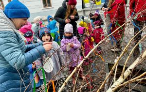 Jak břízka k vajíčkům přišla