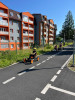 Tábor Zootropolis